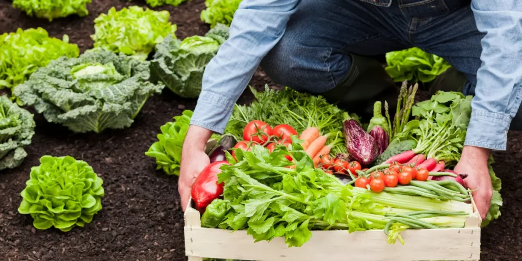 Is Organic Food Really Better for You? Is Organic Food Really Better for You?